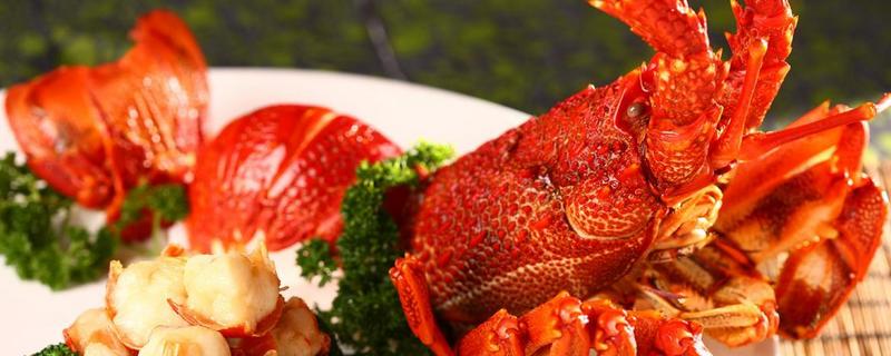 澳洲龙虾和波士顿龙虾有什么区别 澳洲龙虾和波士顿哪种好