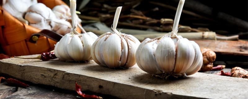 种植大蒜用什么肥料好 种植大蒜用什么肥料好用