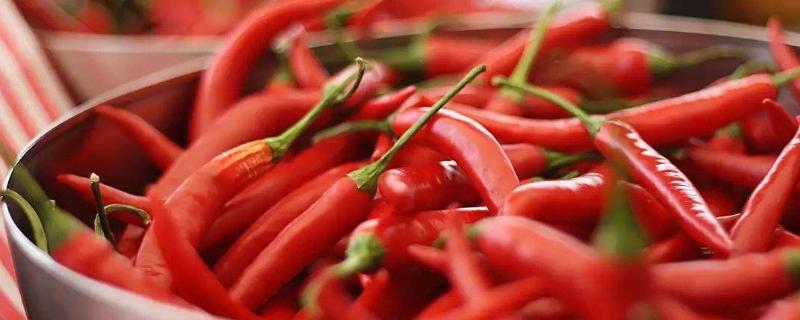 辣椒产地主要在哪个省，附辣椒品种 红辣椒产地主要在哪个省