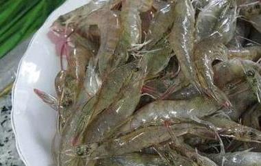 海虾和河虾有哪些区别 河虾和海虾有啥区别