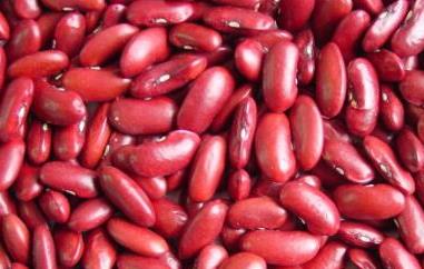 红芸豆不适合什么人吃（红芸豆不适合什么人吃呢）