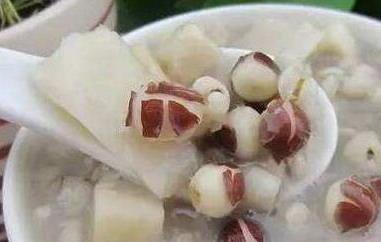 茯苓粥的功效与作用及禁忌 茯苓粥的功效与作用及禁忌症