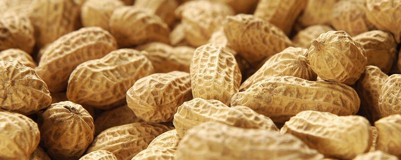 花生产地有哪些，花生主要生产省（花生产地最多在哪里）