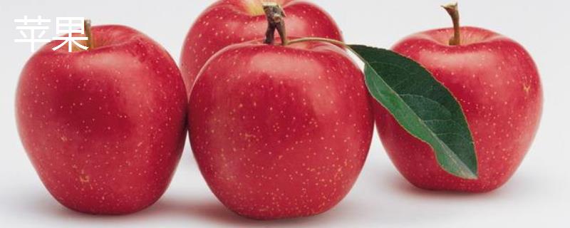 苹果和蛇果的区别 苹果和蛇果的区别在哪里
