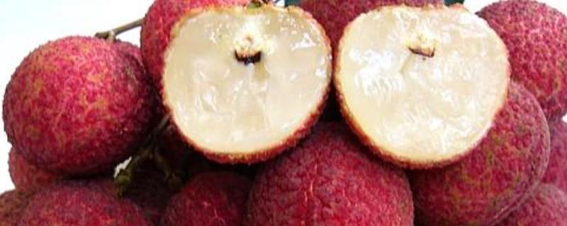 荔枝产地是哪里 杨贵妃吃的荔枝产地是哪里