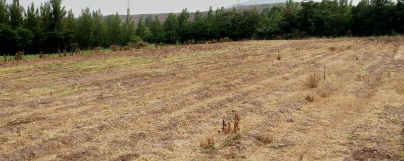 土壤改良的方法有哪些 土壤改良的方法有哪些简笔画笔画画