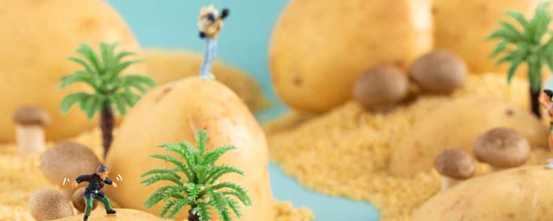 茨菇怎样种植（茨菇怎样种植和管理）