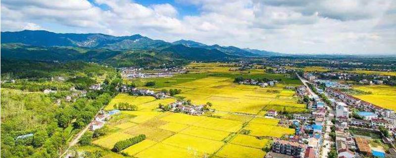 现代农业的特征有哪些（现代农业的特征有哪些三年级）