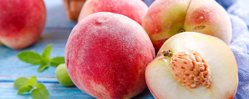 中桃金魁和金灿有区别吗（中桃金灿和金甜哪个好）