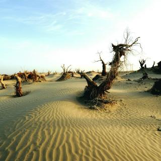 死亡之海是哪个沙漠 死亡之海沙漠是哪里