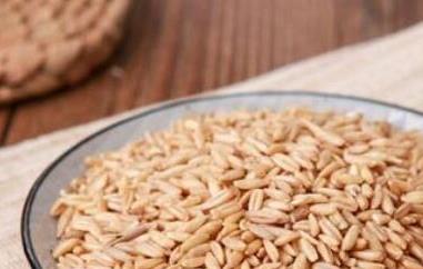 滑燕麦米和燕麦米的区别（滑燕麦米百度百科）