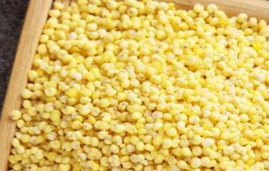 稷米与黍米区别 稷米与黍米区别在哪