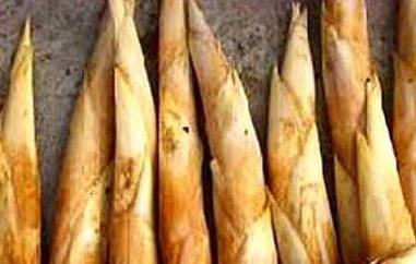 服用鞭笋时的注意事项有哪些 服用鞭笋时的注意事项有哪些呢