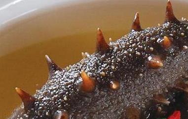 海参怎么样吃好 海参怎么样吃好吃又简单