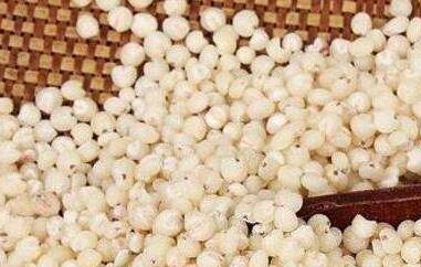 吃高粱米的好处有哪些 常吃高粱米有什么好处和坏处