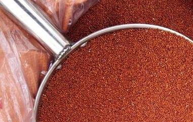 红粟米的功效和作用（红粟米的营养价值与功效）