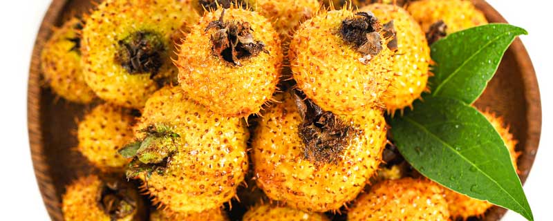 刺梨种植条件和技术（刺梨种植条件和技术条件）