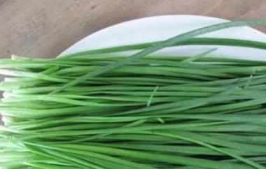 韭菜生姜汁的功效与作用 韭菜生姜汁的功效与作用及禁忌