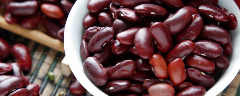 大棚芸豆的种植技术及管理（大棚芸豆种植技术与管理）