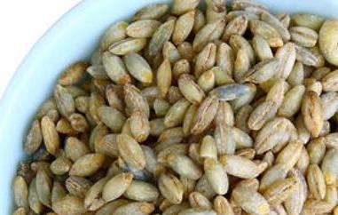 蓝青稞米与白青稞米的区别 白青稞米和蓝青稞米的区别