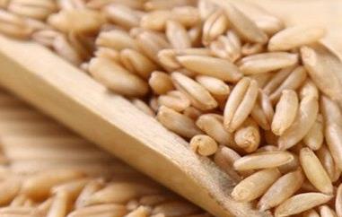 燕麦米的功效与作用 燕麦米的功效与作用及营养价值