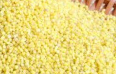 黍米怎么做好吃（黍米怎么做好吃视频）