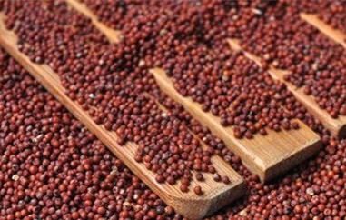 红粟米粥的功效与作用 红粟米粥的功效与作用是什么