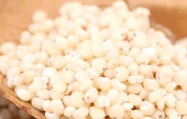 高粱米的功效与作用（高粱米的功效与作用及食用）