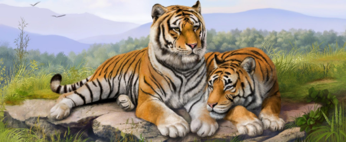 属虎什么颜色最吉利（74年属虎什么颜色最吉利）