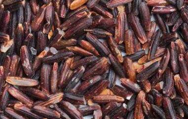 泰国红糙米怎么做好吃 泰国红糙米的做法