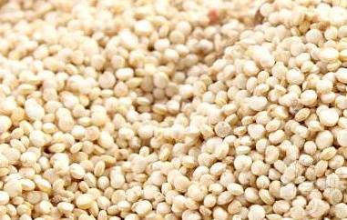 黎麦的功效与作用及食用方法（黎麦的功效与作用及食用方法黎麦和燕麦的区别）