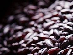 健康米的营养价值与功效 健康米的功效与作用