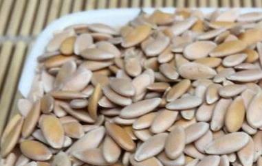 甜瓜子的神奇功效(甜瓜子的神奇功效是什么)