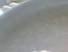 广东白粥的材料和做法 广东白粥用什么米