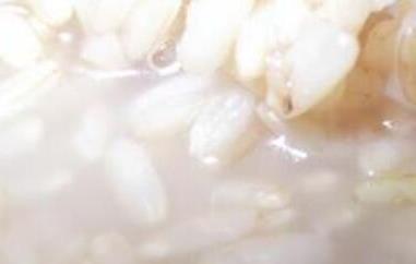 糙米酒糟有什么功效(米酒糟的功效与作用)