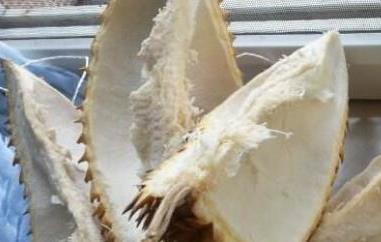 干榴莲壳的功效与作用有哪些（榴莲壳干的功效与作用及禁忌）