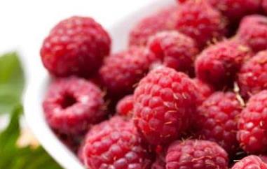 覆盆子茶的功效与作用 孕妇喝覆盆子茶的功效与作用