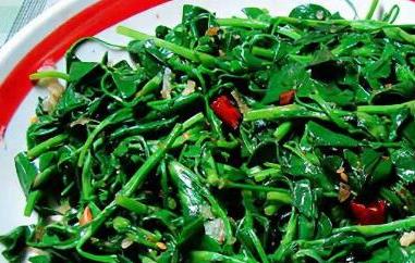 苜蓿怎么吃好（苜蓿怎么吃好吃凉菜）