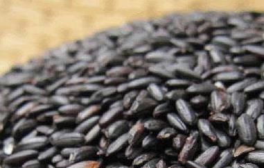 黑米的功效与作用 黑米的功效与作用及营养价值