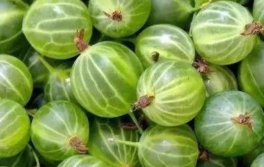 鹅莓怎么吃 吃完鹅肉可以吃草莓吗