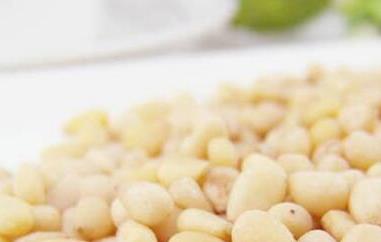 松子仁的功效与作用及禁忌 松子仁的功效与作用及禁忌益多纤粉