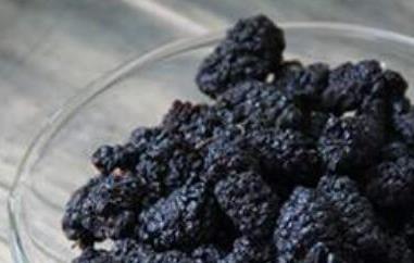 中药桑椹干的功效与作用（干桑葚的功效和作用）