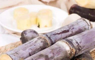 甘蔗的功效与作用及禁忌（甘蔗的功效与作用及禁忌症）