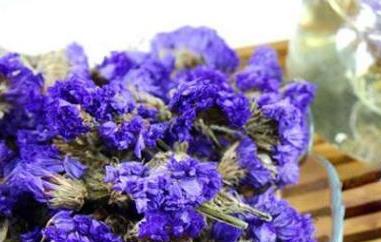 勿忘我花茶的功效与作用及禁忌 花茶勿忘我有什么功效