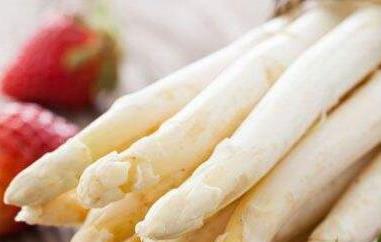 白芦笋茶的功效与作用(白芦笋茶的功效与作用及禁忌)