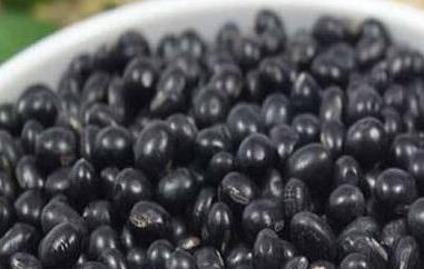 醋泡黑豆的功效与作用(醋泡黑豆的功效与作用及食用方法)