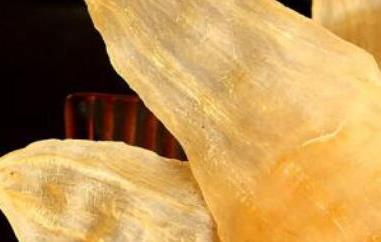 竹叶鱼胶的功效与作用 竹叶鱼胶的功效与作用禁忌