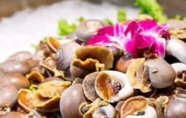 玉螺怎么吃好吃（玉螺怎么吃好吃呢）