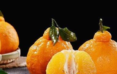 丑橘的营养价值(丑橘的营养价值及功效与作用)