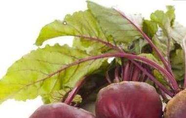 甜菜根的副作用和危害 甜菜根粉的副作用和危害有哪些